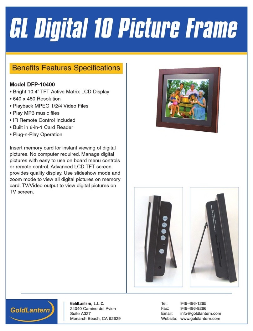Goldlantern DPF-10400 Specifications