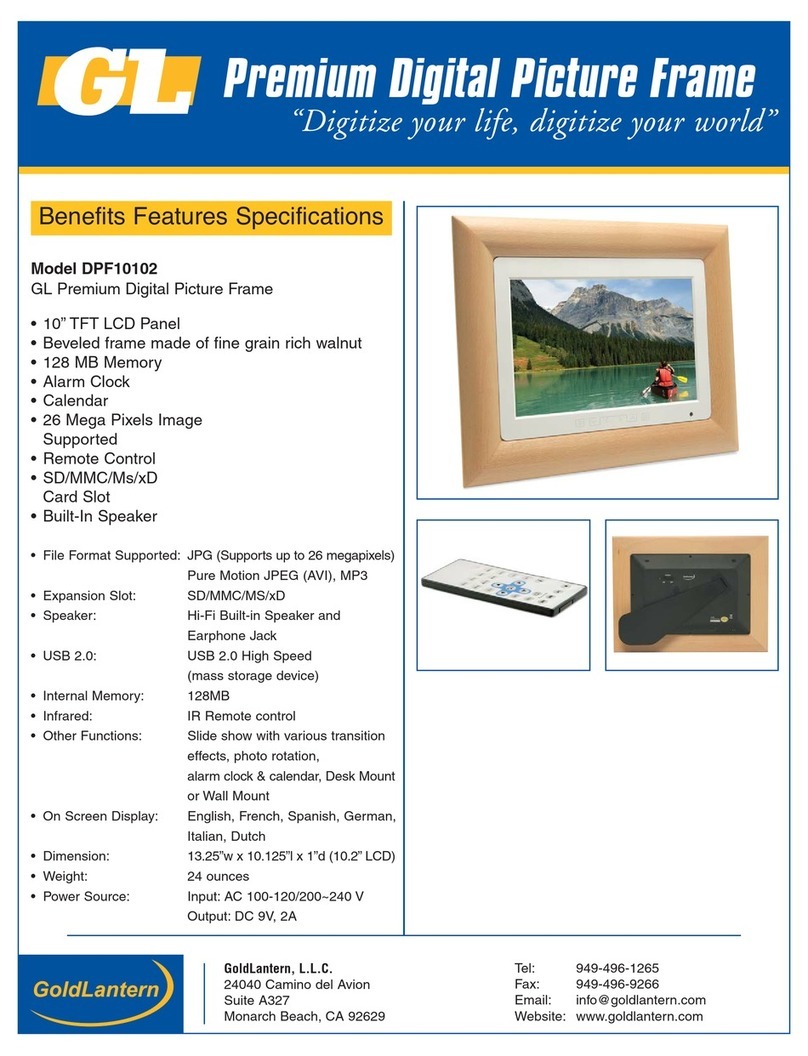 Goldlantern DPF-10102 Specifications