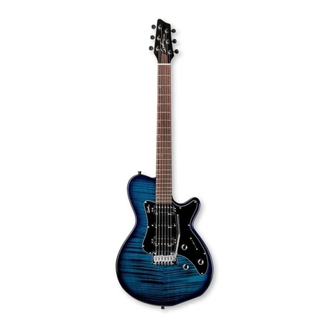 Godin Solidac User manual