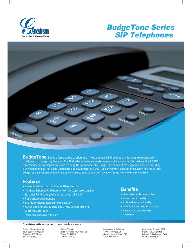 Grandstream Networks Budgetone BT101 Specifications