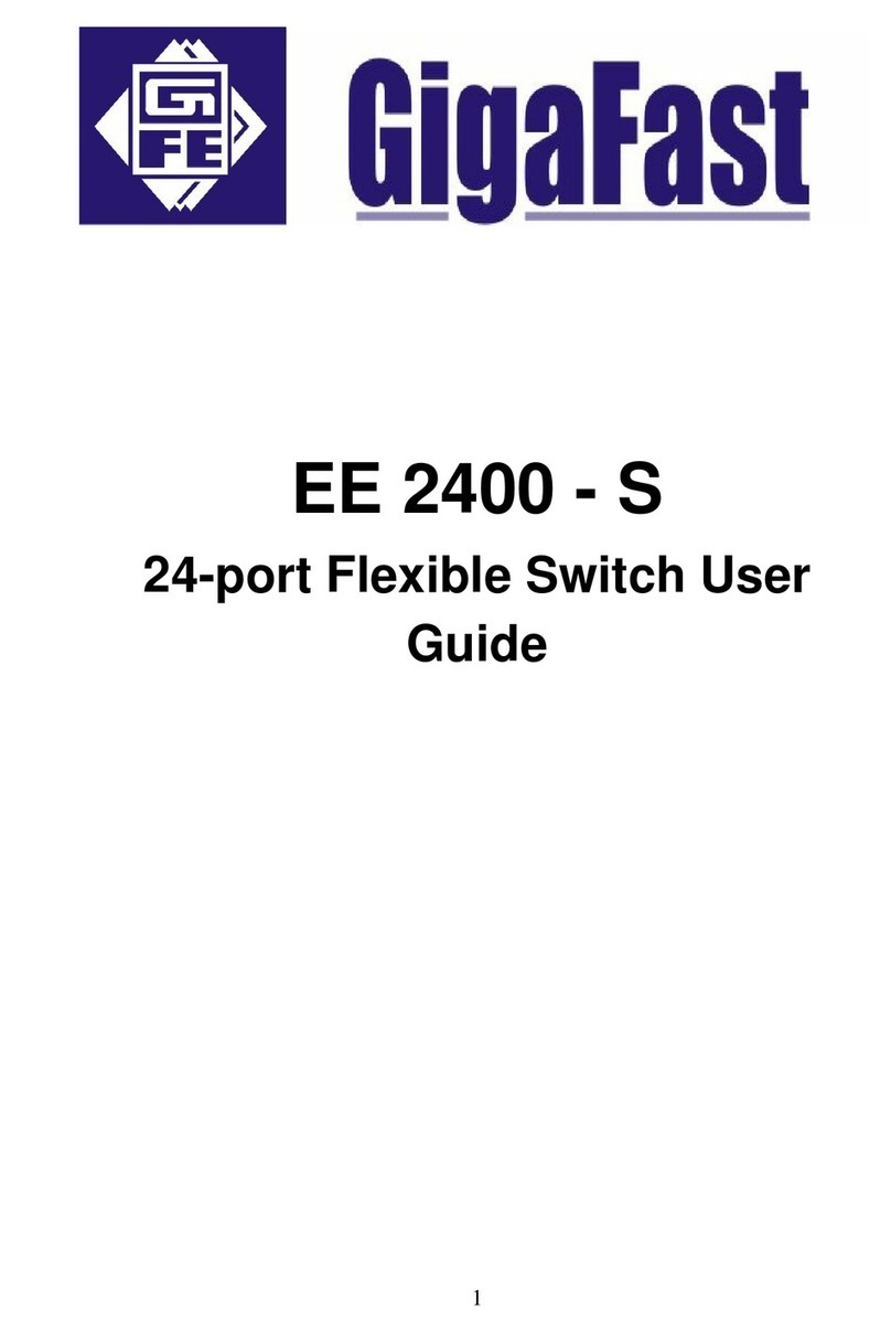 Gigafast EE2400-S user guide