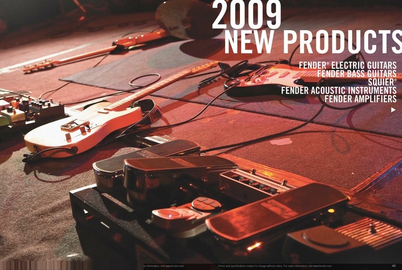 Fender Standard Telecoustic brochure