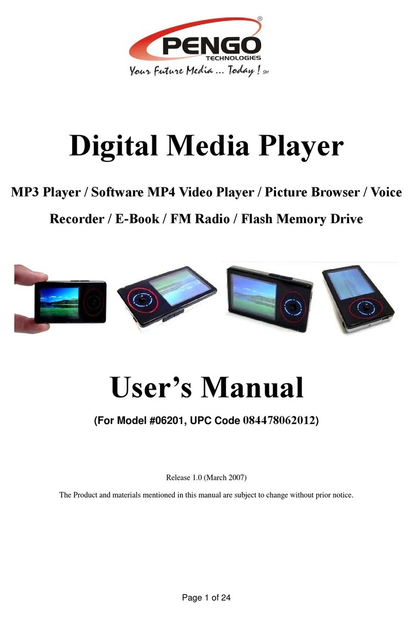 Pengo 6201 user manual