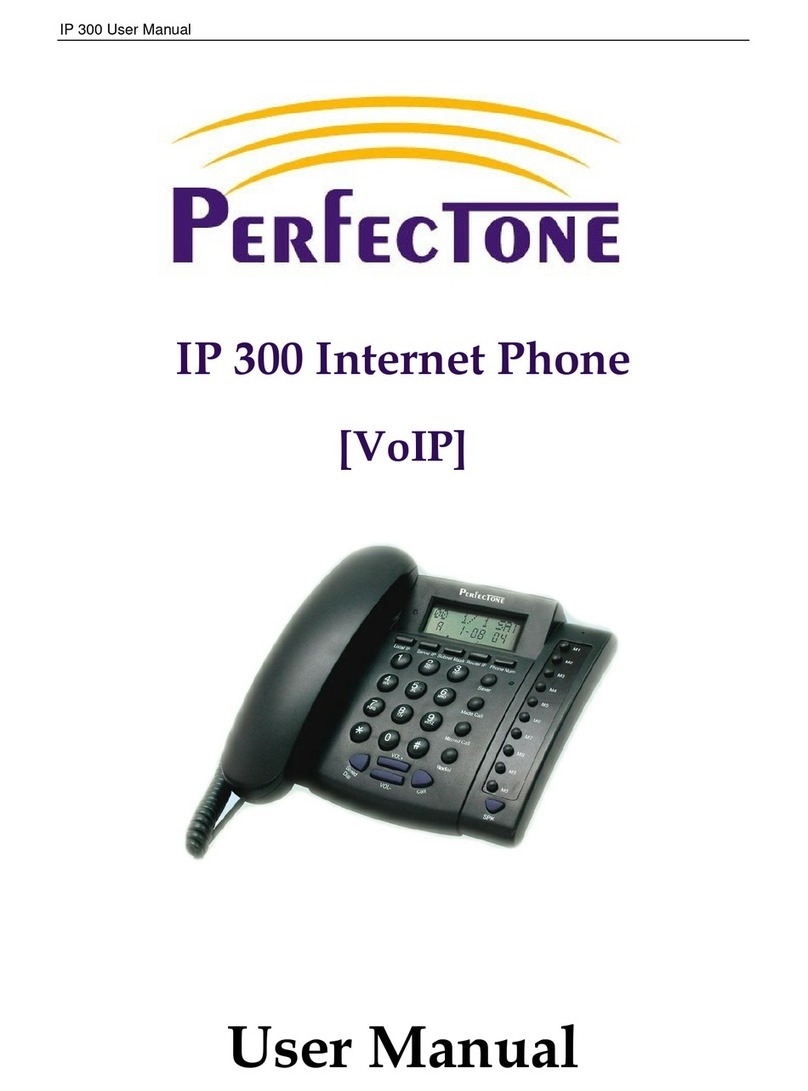 Perfectone IP 300 user manual