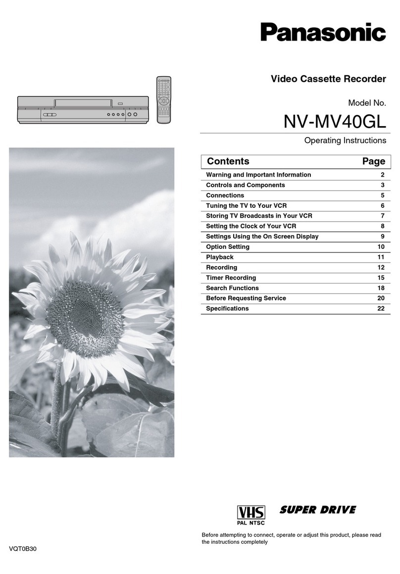 Panasonic NV-MV40GL User manual