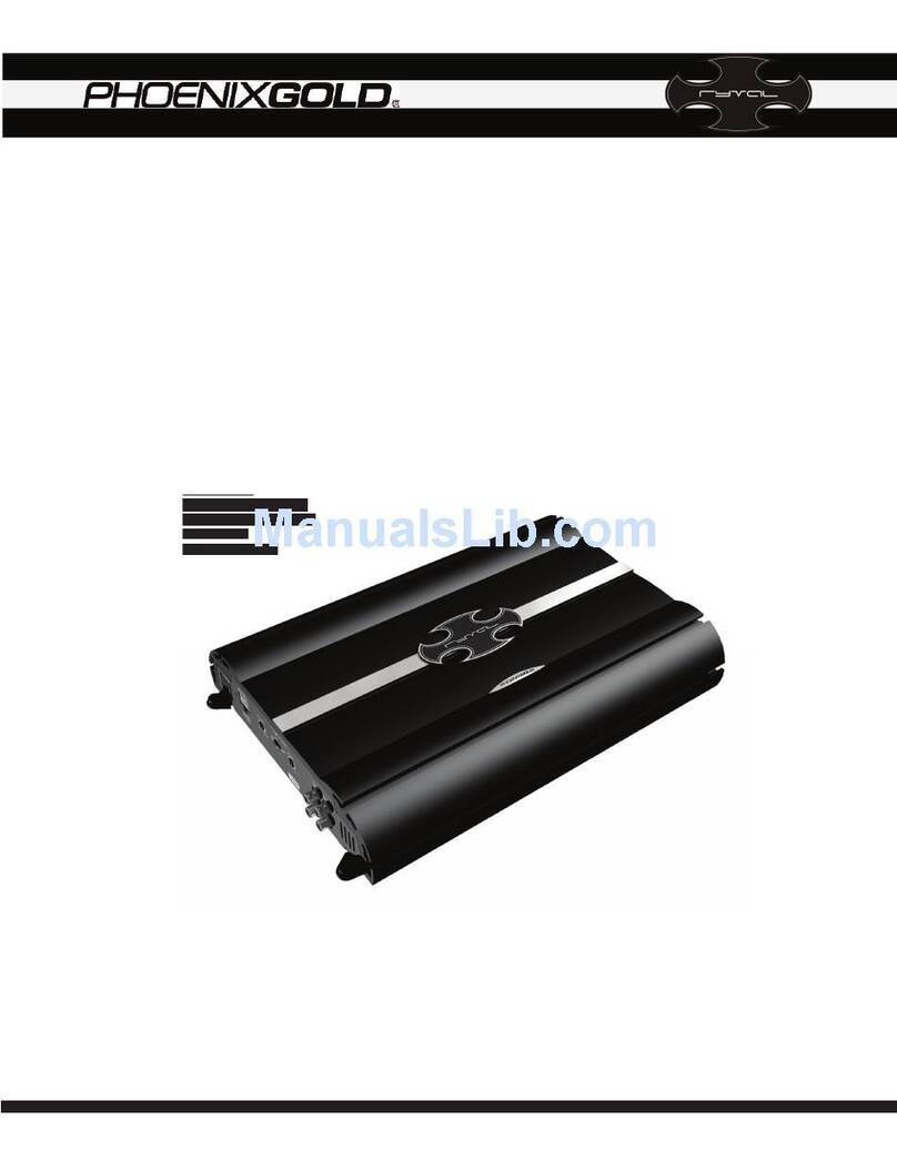 Phoenix Gold Ryval V8001 product manual