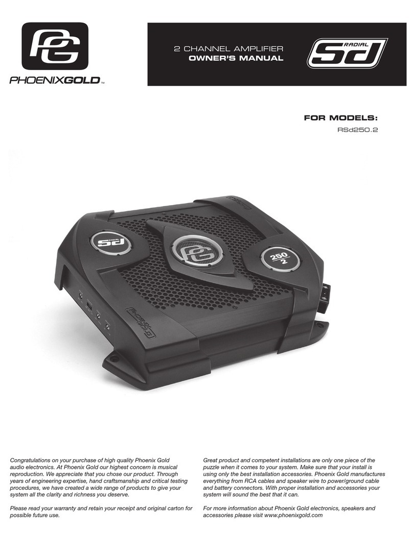 Phoenix Gold RSD250.2 User manual