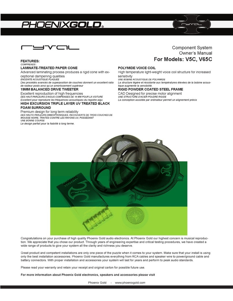 Phoenix Gold Ryval V5C, V65C owner's manual