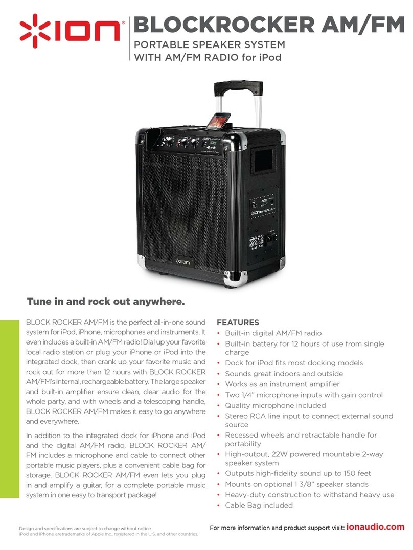 ION BLOCKROCKER AM/FM User manual