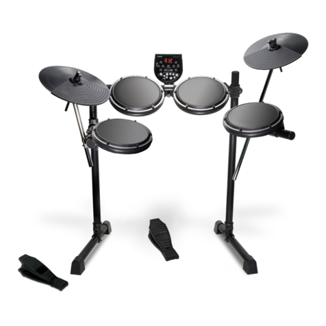 ION PRO SESSION DRUMS datasheet