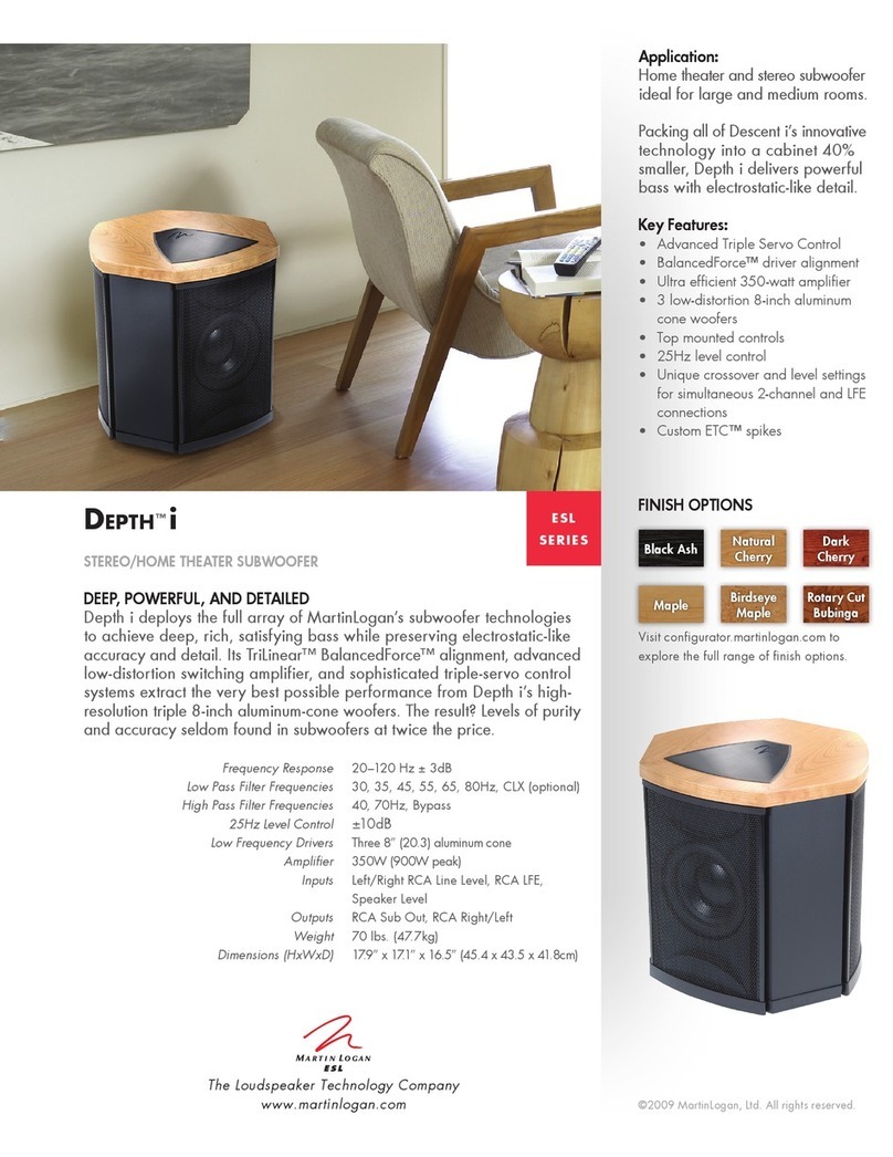 MartinLogan Depth I Brochure & specs