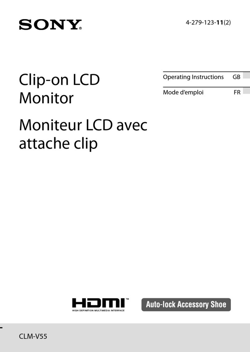 Sony Wahoo CLM-V55 User manual