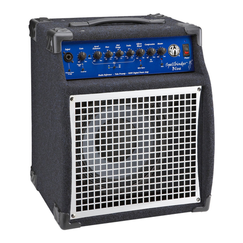 SWR Spellbinder Blue User manual