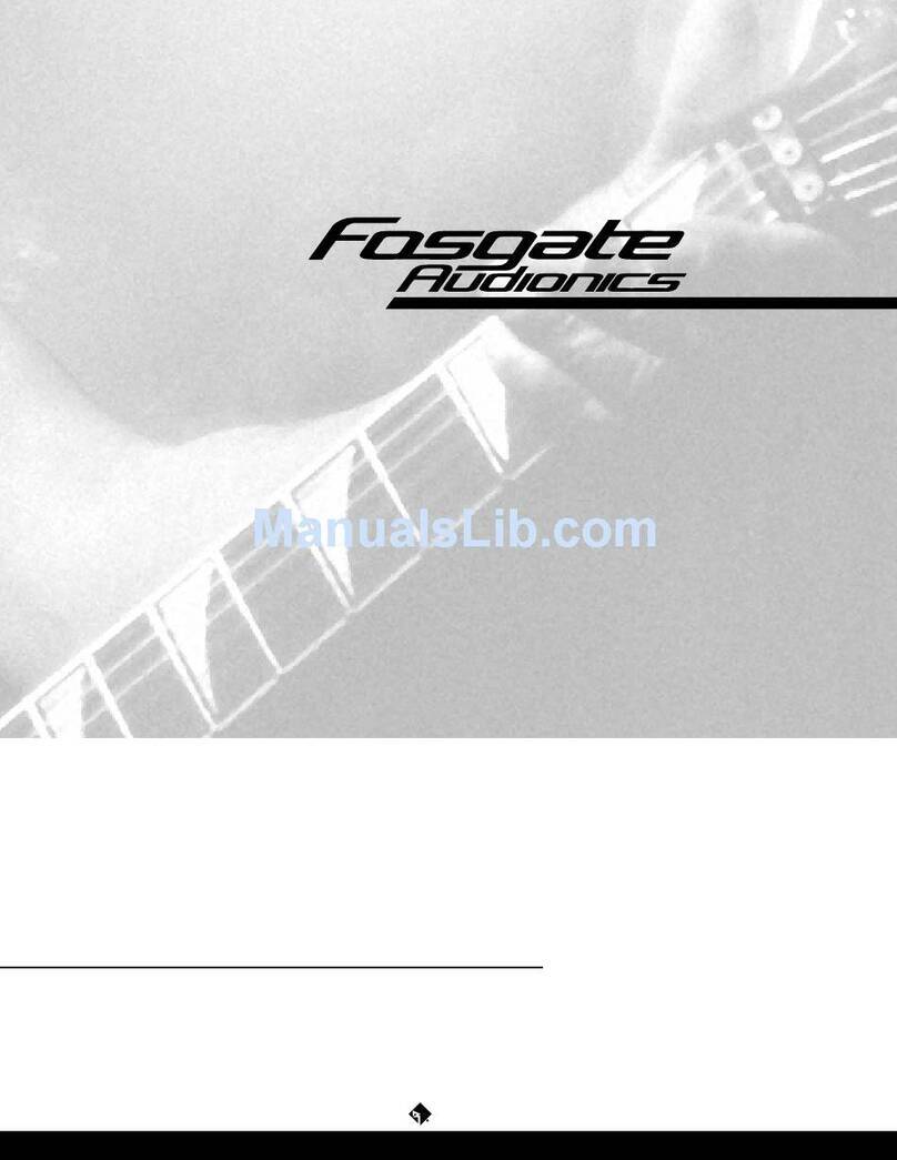 Fosgate Audionics FA10.0 owner's manual