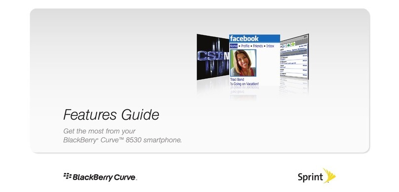 Blackbe;rry Curve 8530 Specification sheet
