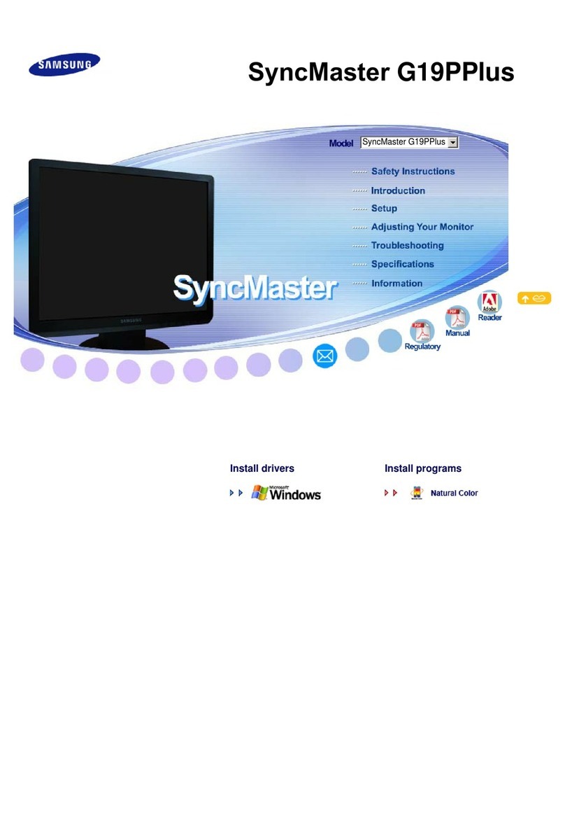 Samsung SyncMaster G19P Plus User manual