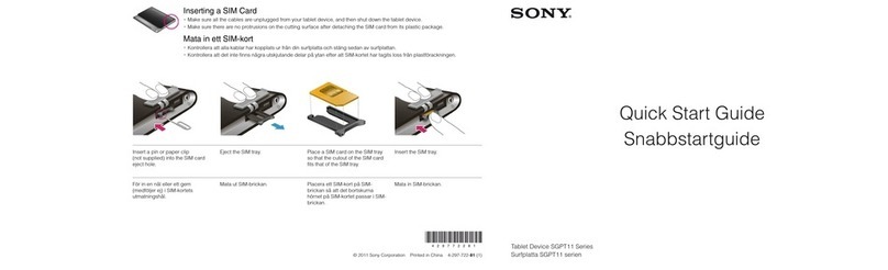 Sony SGPT113SE/S User manual