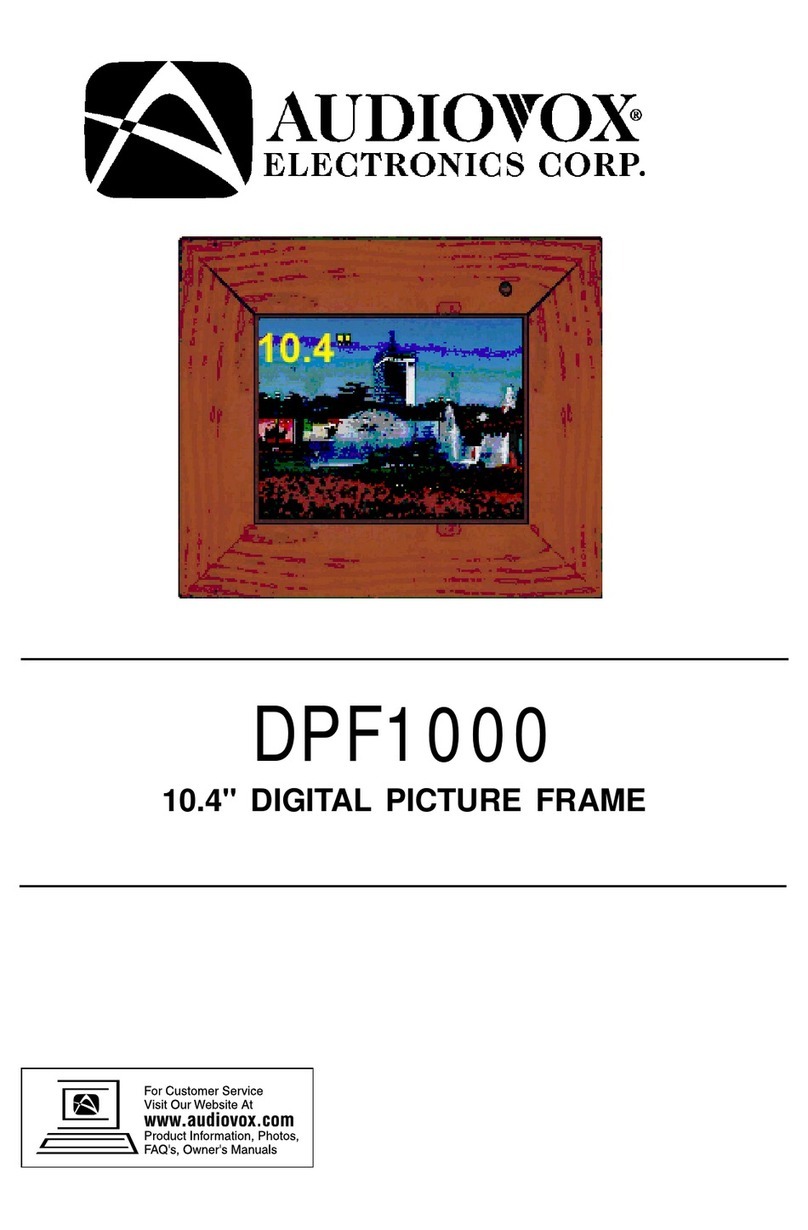 Audiovox DPF1000 User manual