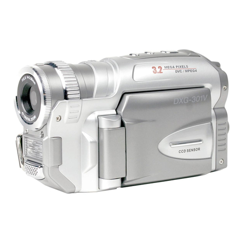 DXG DXG-301V User manual