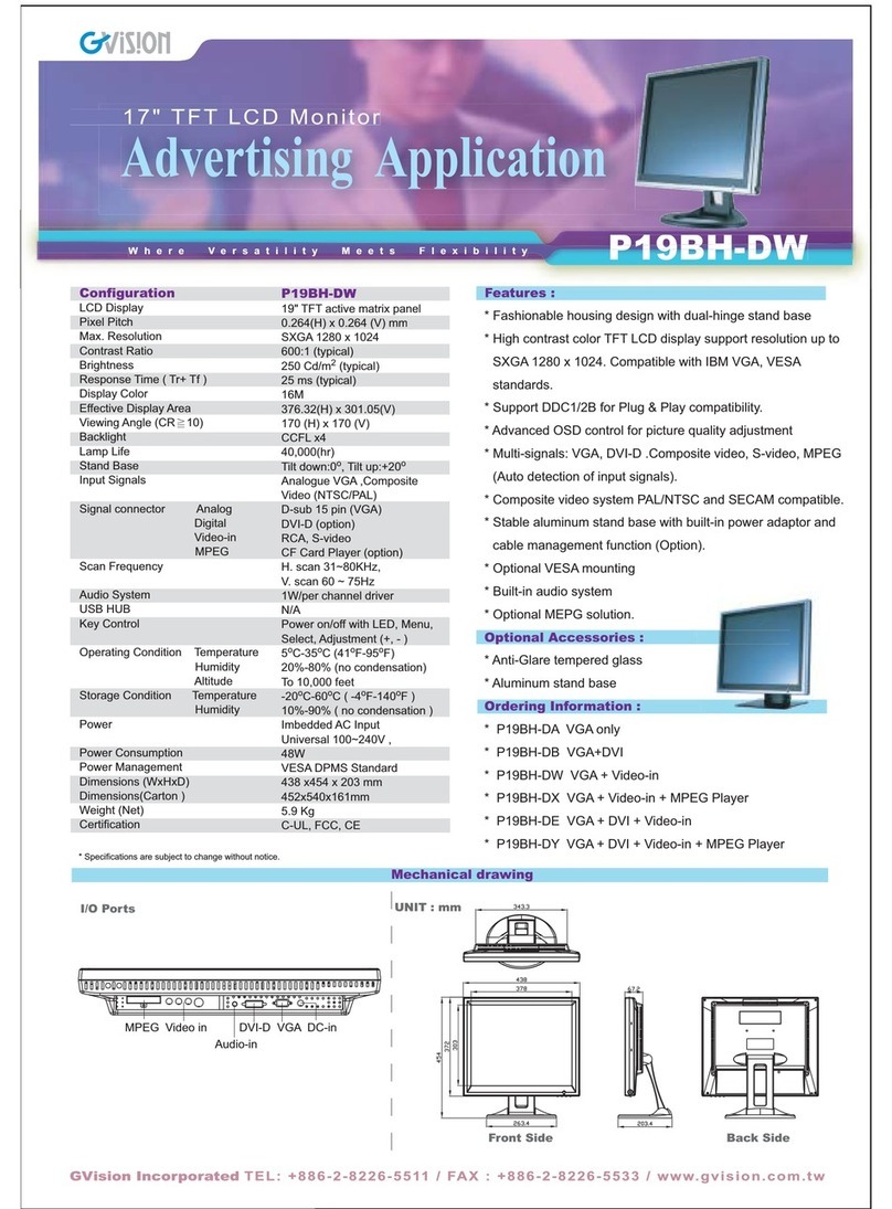 GVision P19BH-D User manual