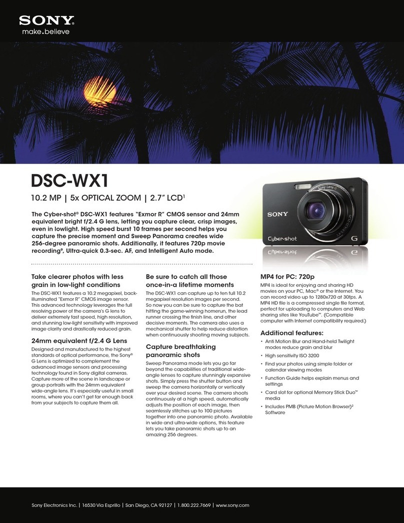 Sony DSC-WX1 User manual