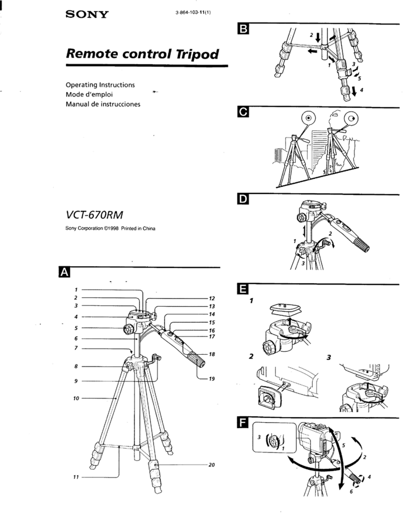 Sony Espanol) User manual