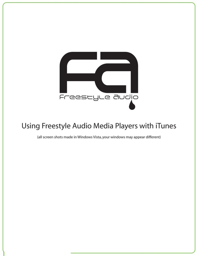 Freestyle Audio Soundwave 2GB Using