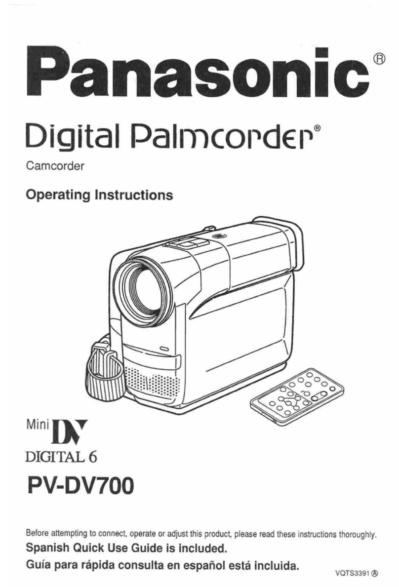 Panasonic Palmcorder PV-DV700 User manual
