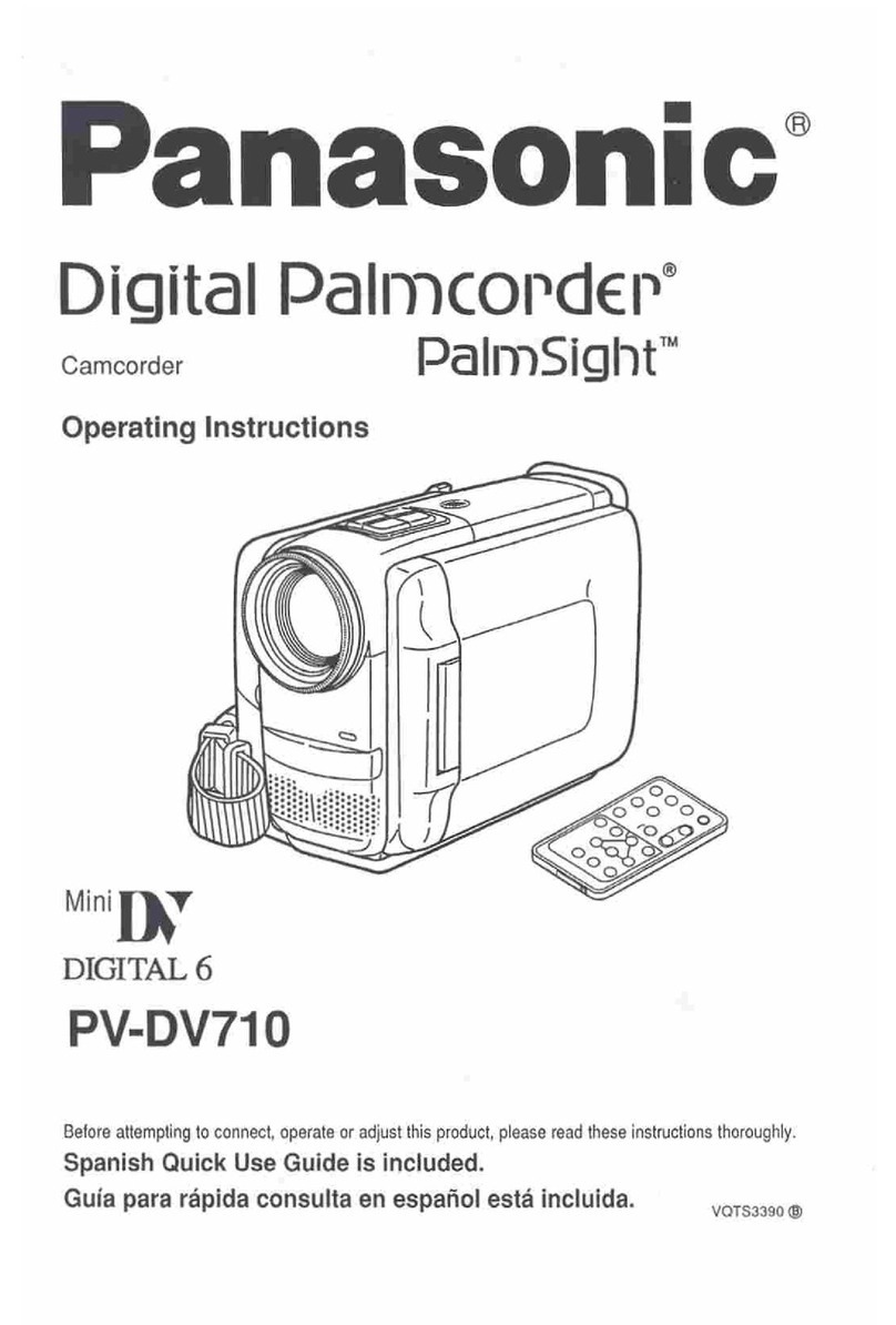 Panasonic Palmcorder Palmsight PV-DV710 User manual
