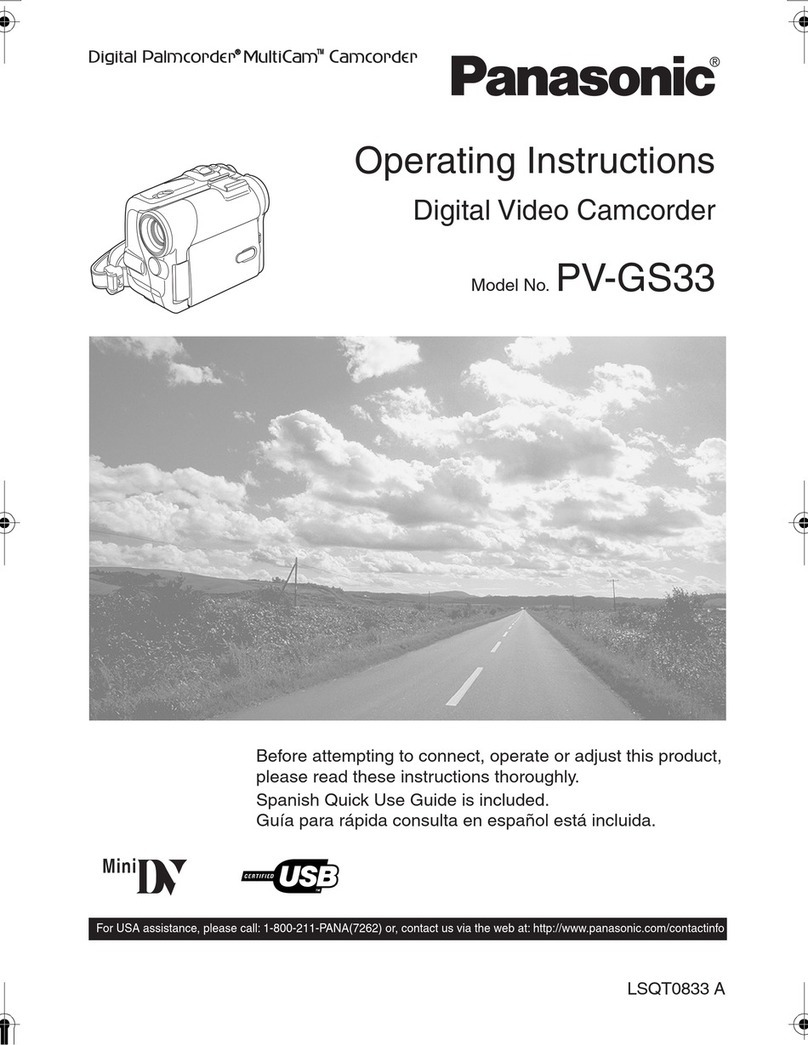 Panasonic Palmcorder Multicam PV-GS33 User manual