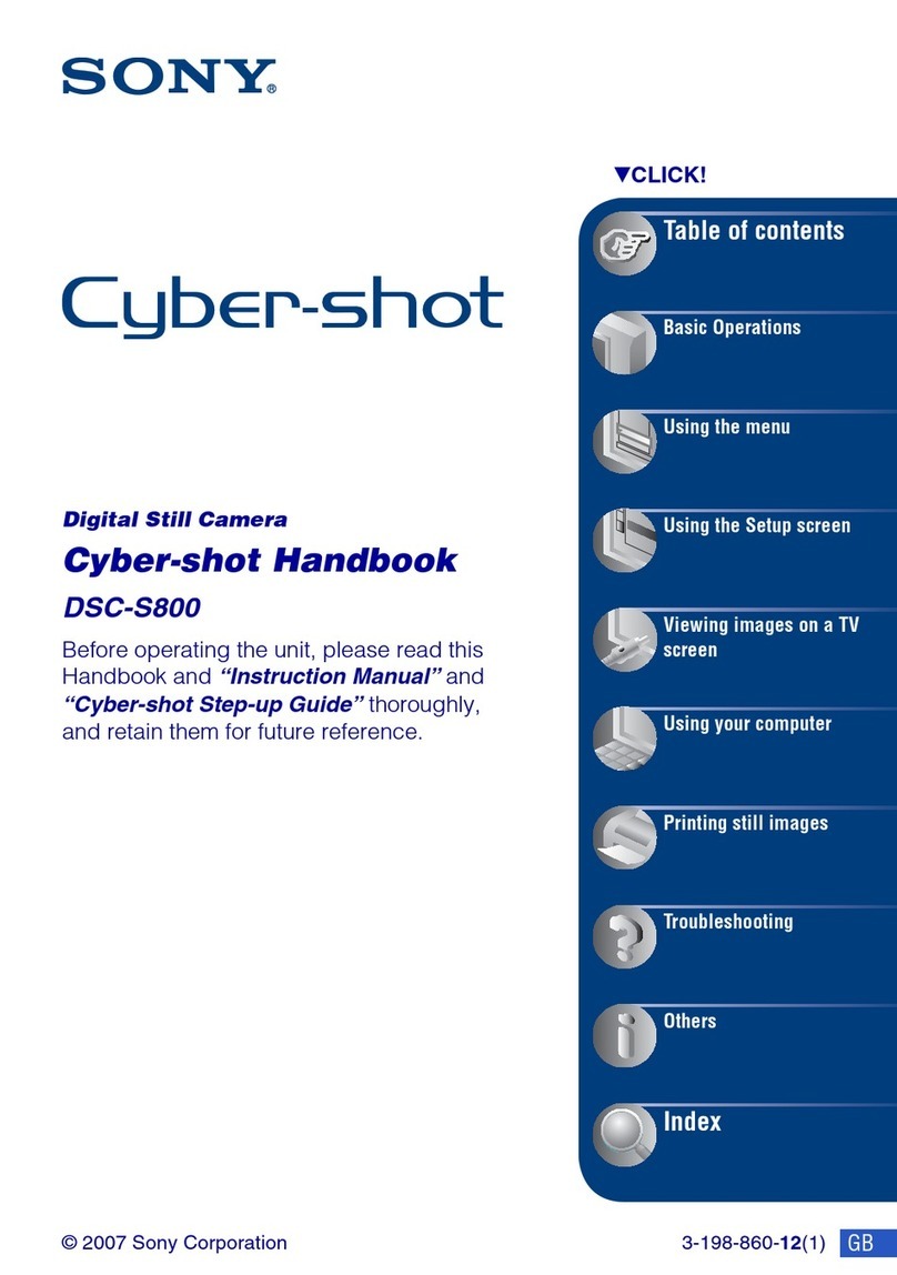 Sony DSC-S800 instruction & operation manual
