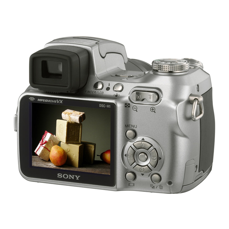 Sony DSC-H1 User manual