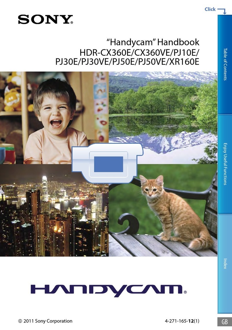 Sony Handycam HDR-CX360E User manual