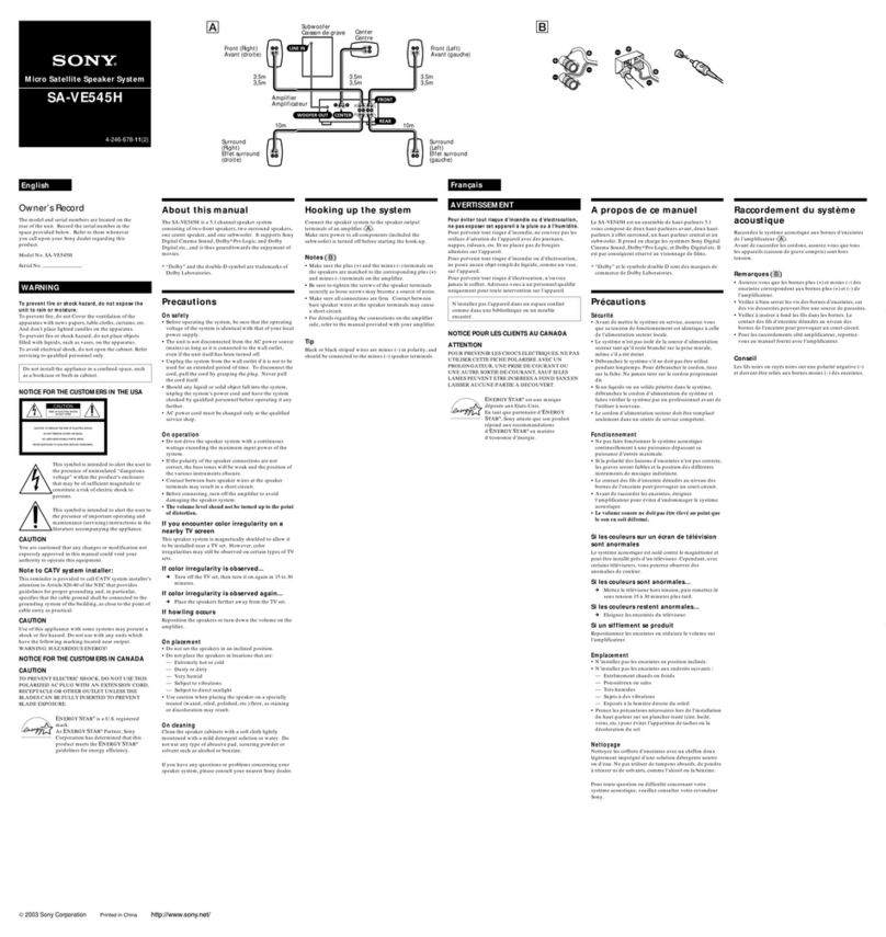 Sony SA-VE545H User manual