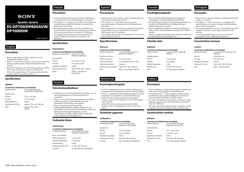 Sony SS-DP1000DW User manual
