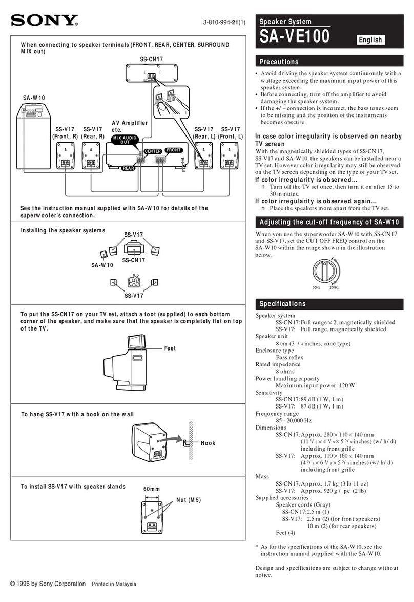 Sony SA-VE100 instruction & operation manual