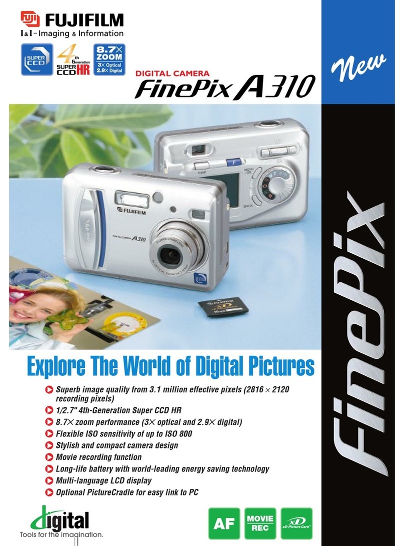 FujiFilm FINEPIX A310 User manual