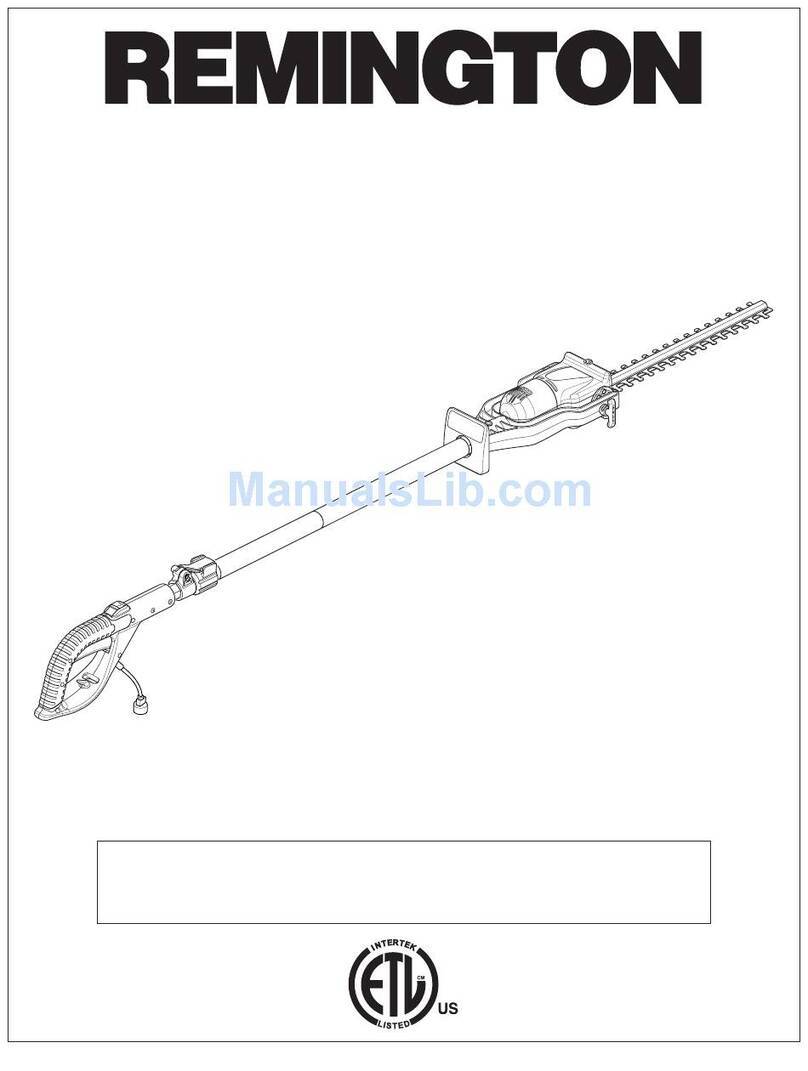Desa Remington Axcess 110946-01A owner's manual