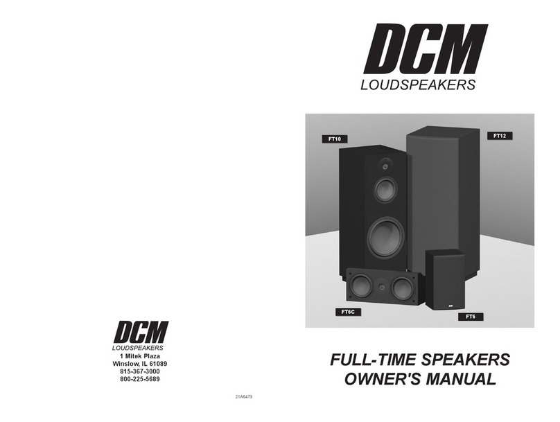 Dcm FT10 User manual