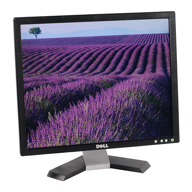 Dell E197FP User manual