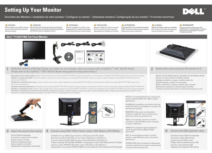 Dell Professional P170S User instructions