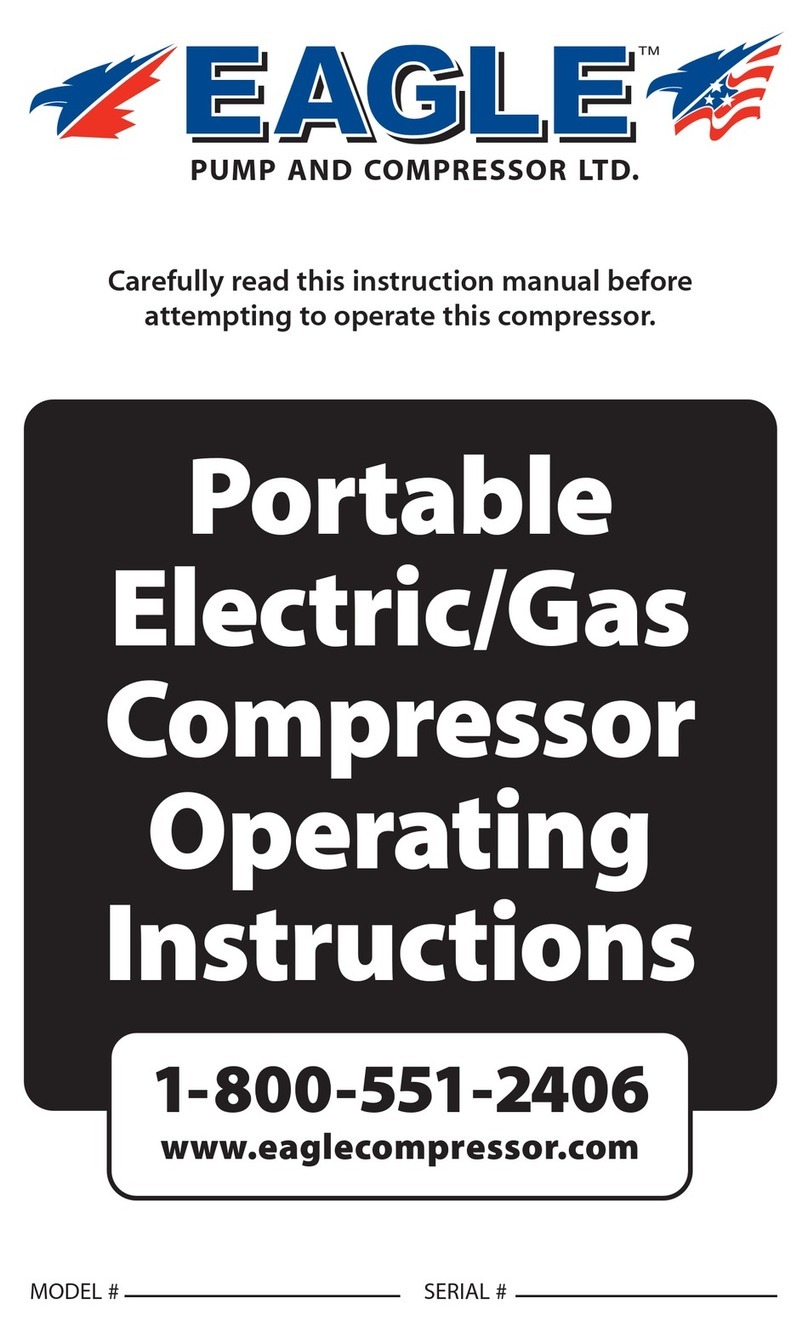 Eagle Portable Electric/Gas Compressor operating instructions