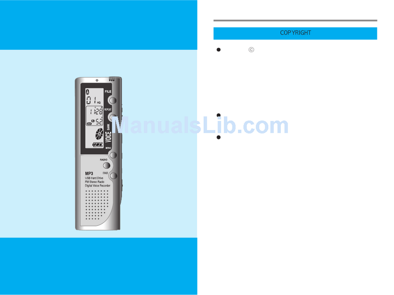 Diasonic DDR-3032 user manual