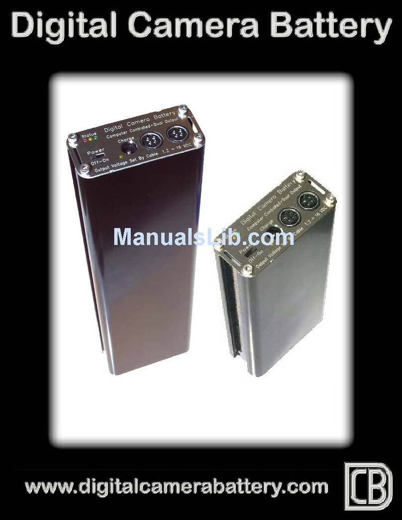 Digital Camera Battery DCB80WB owner's manual