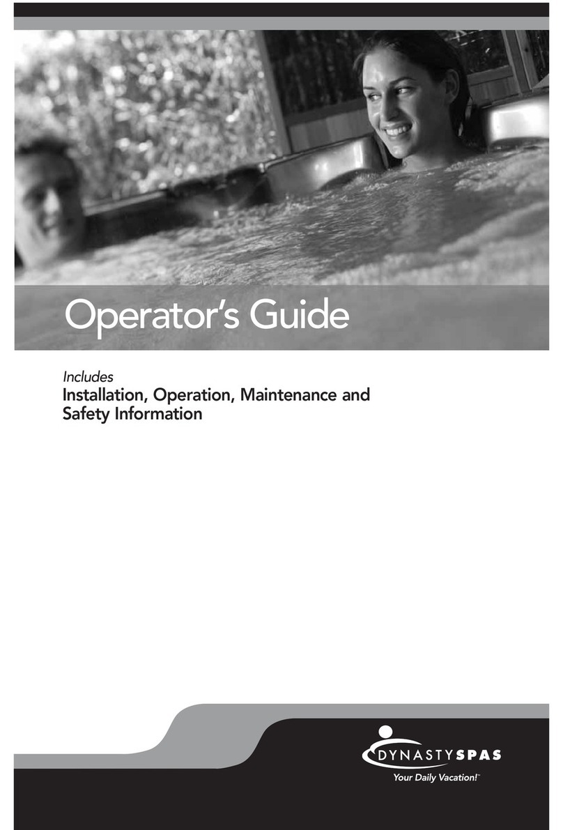 Dynasty Spas 2008 Manual