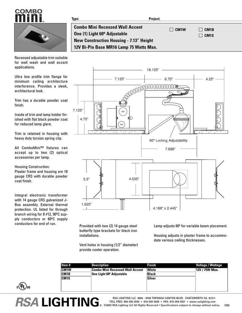 RSA Lighting Combo Mini CM1B User manual