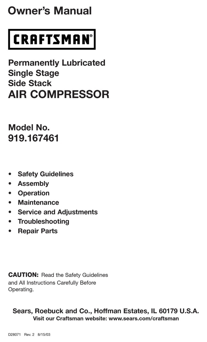 Craftsman 919.167461 User manual