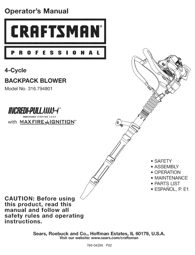 Craftsman 316.794801 User manual