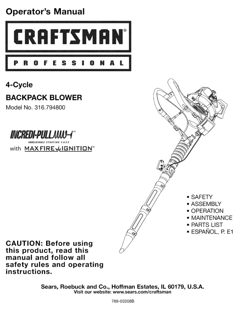 Craftsman 316.794800 Operator's manual