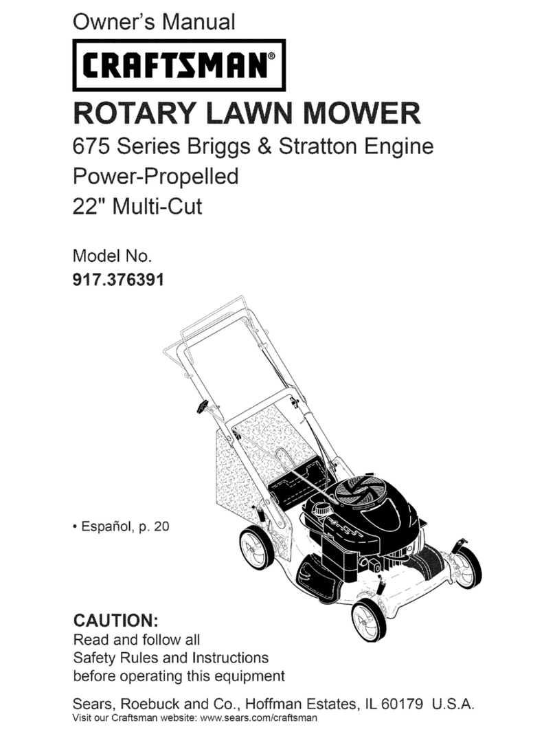 Craftsman 917.376391 User manual